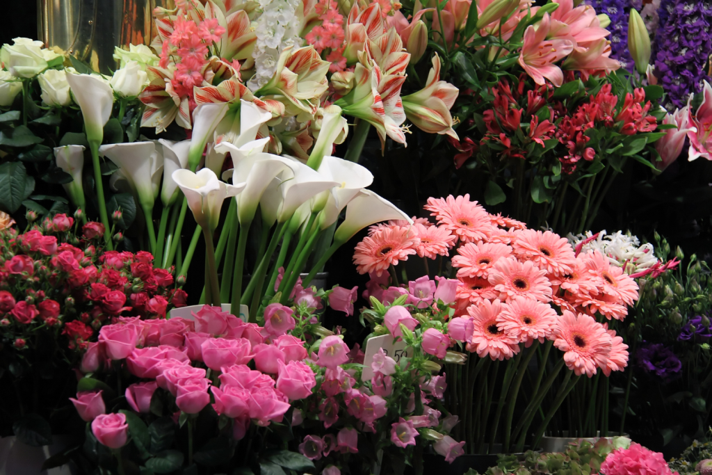 Com vendre flors i plantes per internet