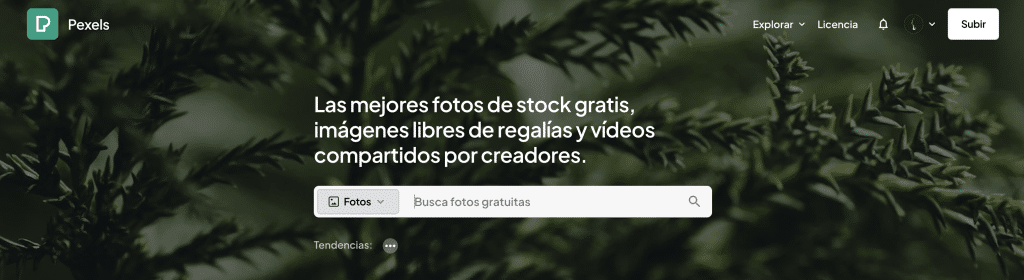 Bancs d'imatges gratis per utilitzar